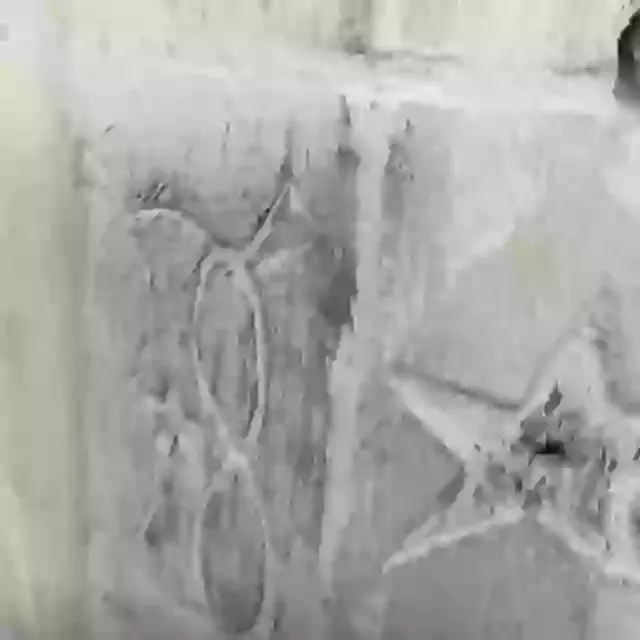 13 April Digging Into The Past